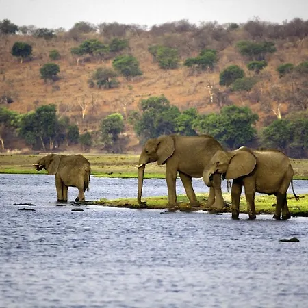 Estrella24 Living Namibia *